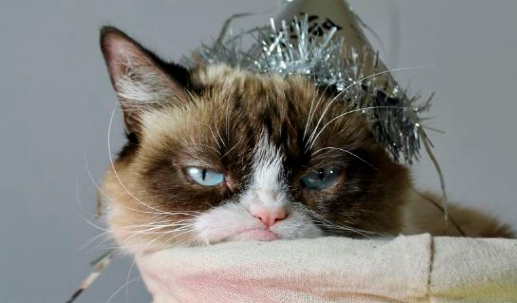 grumpy-cat-2