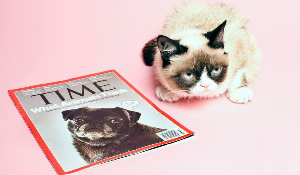 time-cats-21