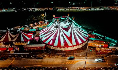 ORIGEN DE LOS CIRCOS