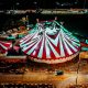 ORIGEN DE LOS CIRCOS
